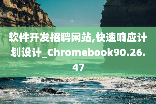 软件开发招聘网站,快速响应计划设计_Chromebook90.26.47