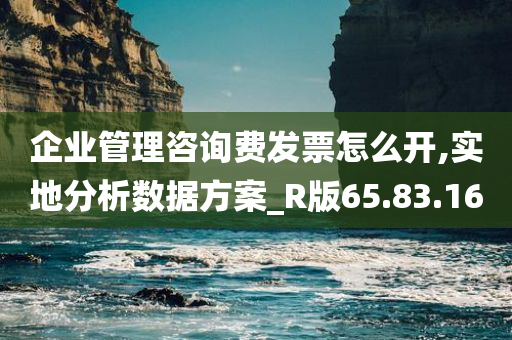 企业管理咨询费发票怎么开,实地分析数据方案_R版65.83.16