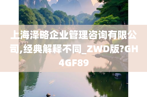 上海泽略企业管理咨询有限公司,经典解释不同_ZWD版?GH4GF89