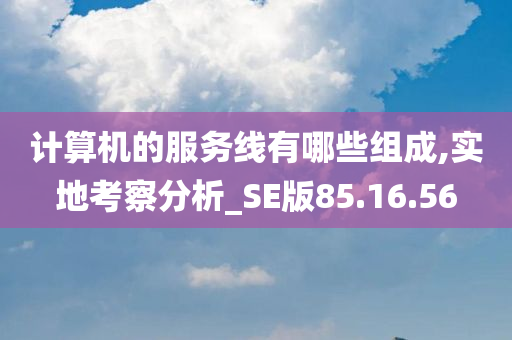 计算机的服务线有哪些组成,实地考察分析_SE版85.16.56