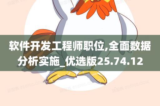 软件开发工程师职位,全面数据分析实施_优选版25.74.12