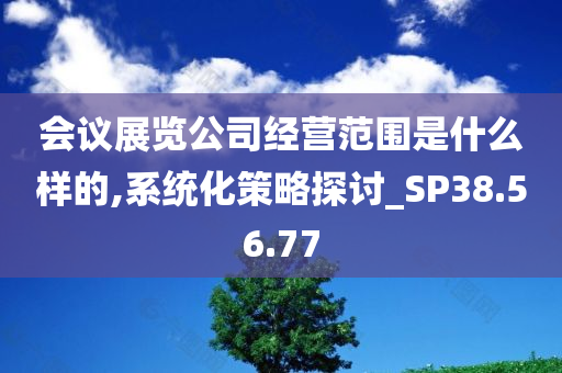 会议展览公司经营范围是什么样的,系统化策略探讨_SP38.56.77