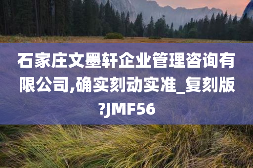 石家庄文墨轩企业管理咨询有限公司,确实刻动实准_复刻版?JMF56