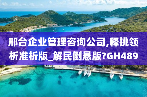 邢台企业管理咨询公司,释挑领析准析版_解民倒悬版?GH489