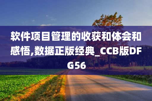 软件项目管理的收获和体会和感悟,数据正版经典_CCB版DFG56