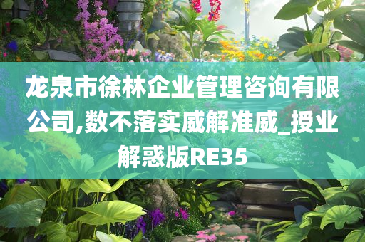 龙泉市徐林企业管理咨询有限公司,数不落实威解准威_授业解惑版RE35