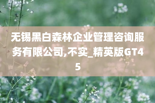 无锡黑白森林企业管理咨询服务有限公司,不实_精英版GT45