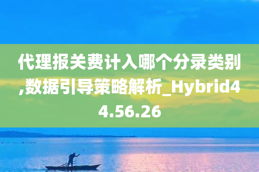 代理报关费计入哪个分录类别,数据引导策略解析_Hybrid44.56.26