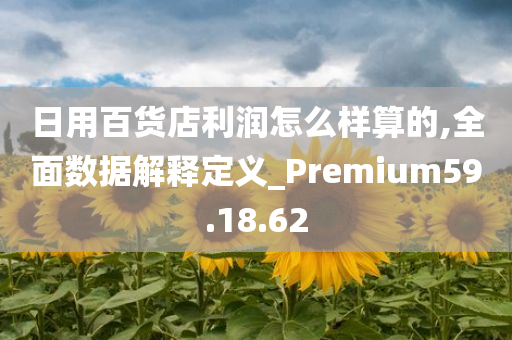 日用百货店利润怎么样算的,全面数据解释定义_Premium59.18.62