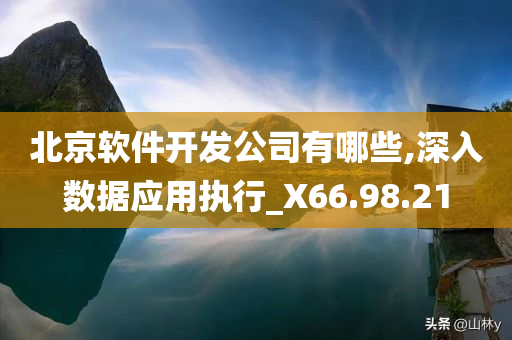 北京软件开发公司有哪些,深入数据应用执行_X66.98.21