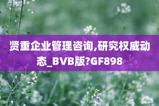 贤重企业管理咨询,研究权威动态_BVB版?GF898