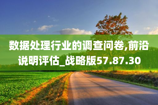 数据处理行业的调查问卷,前沿说明评估_战略版57.87.30