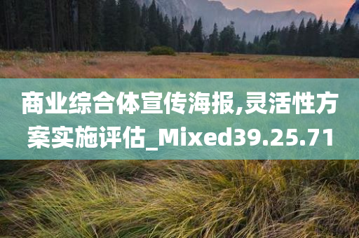 商业综合体宣传海报,灵活性方案实施评估_Mixed39.25.71