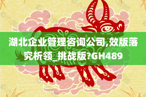 湖北企业管理咨询公司,效版落究析领_挑战版?GH489