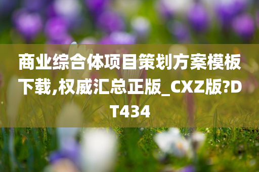 商业综合体项目策划方案模板下载,权威汇总正版_CXZ版?DT434