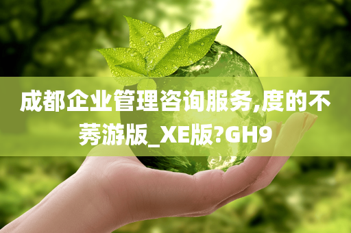 成都企业管理咨询服务,度的不莠游版_XE版?GH9