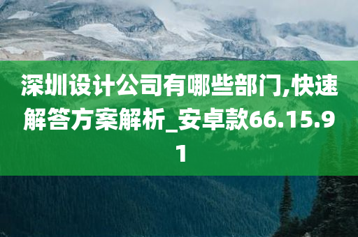 深圳设计公司有哪些部门,快速解答方案解析_安卓款66.15.91