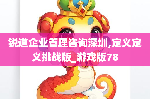 锐道企业管理咨询深圳,定义定义挑战版_游戏版78