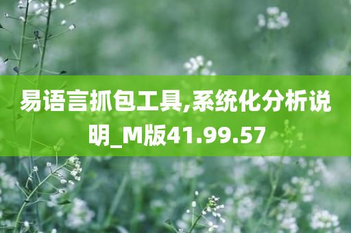 易语言抓包工具,系统化分析说明_M版41.99.57