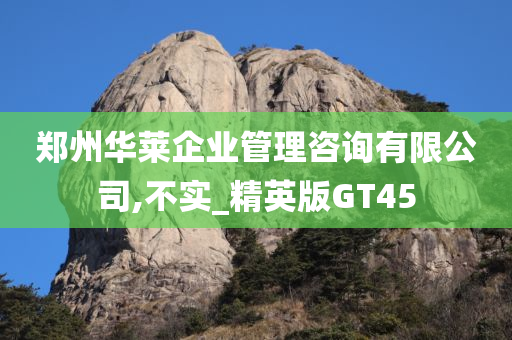 郑州华莱企业管理咨询有限公司,不实_精英版GT45