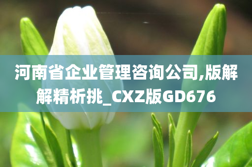 河南省企业管理咨询公司,版解解精析挑_CXZ版GD676