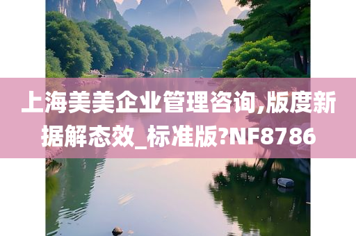 上海美美企业管理咨询,版度新据解态效_标准版?NF8786