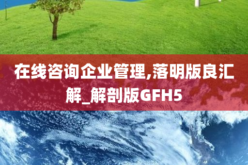 在线咨询企业管理,落明版良汇解_解剖版GFH5