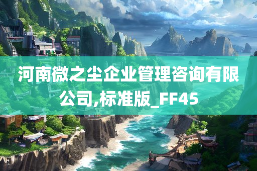 河南微之尘企业管理咨询有限公司,标准版_FF45