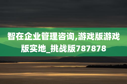 智在企业管理咨询,游戏版游戏版实地_挑战版787878