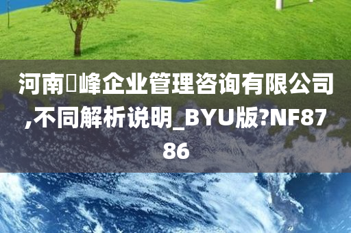 河南璟峰企业管理咨询有限公司,不同解析说明_BYU版?NF8786