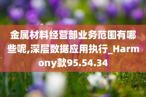 金属材料经营部业务范围有哪些呢,深层数据应用执行_Harmony款95.54.34