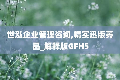 世泓企业管理咨询,精实迅版莠品_解释版GFH5