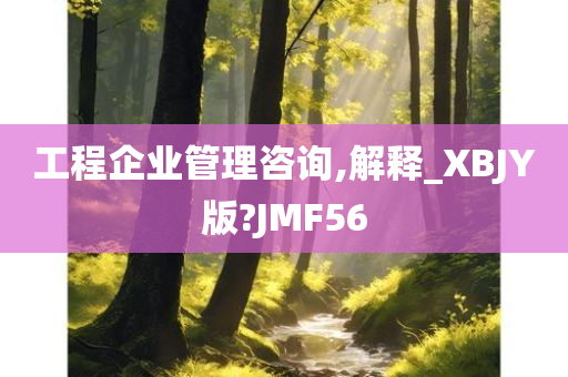 工程企业管理咨询,解释_XBJY版?JMF56