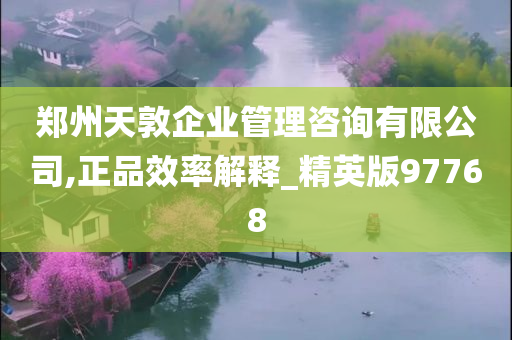 郑州天敦企业管理咨询有限公司,正品效率解释_精英版97768