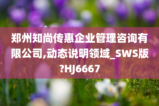 郑州知尚传惠企业管理咨询有限公司,动态说明领域_SWS版?HJ6667