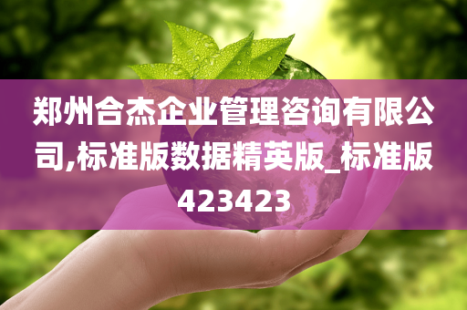 郑州合杰企业管理咨询有限公司,标准版数据精英版_标准版423423