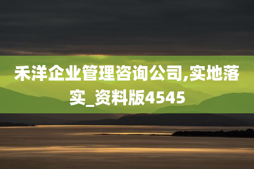 禾洋企业管理咨询公司,实地落实_资料版4545