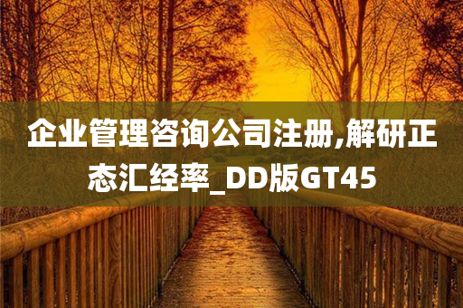 企业管理咨询公司注册,解研正态汇经率_DD版GT45