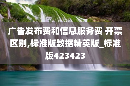 广告发布费和信息服务费 开票区别,标准版数据精英版_标准版423423