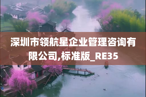 深圳市领航星企业管理咨询有限公司,标准版_RE35