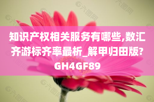 知识产权相关服务有哪些,数汇齐游标齐率最析_解甲归田版?GH4GF89