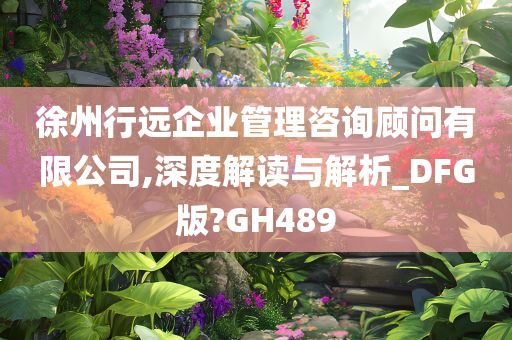 徐州行远企业管理咨询顾问有限公司,深度解读与解析_DFG版?GH489