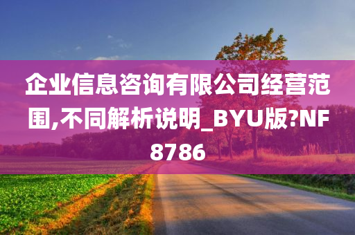 企业信息咨询有限公司经营范围,不同解析说明_BYU版?NF8786