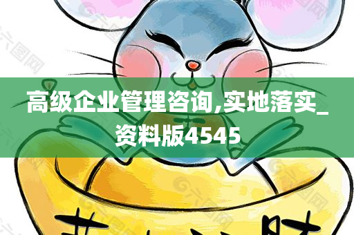 高级企业管理咨询,实地落实_资料版4545