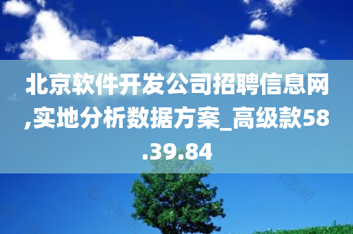 北京软件开发公司招聘信息网,实地分析数据方案_高级款58.39.84