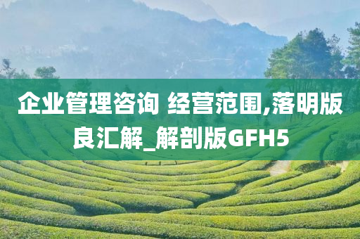 企业管理咨询 经营范围,落明版良汇解_解剖版GFH5