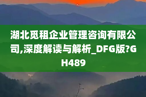 湖北觅租企业管理咨询有限公司,深度解读与解析_DFG版?GH489