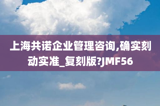 上海共诺企业管理咨询,确实刻动实准_复刻版?JMF56