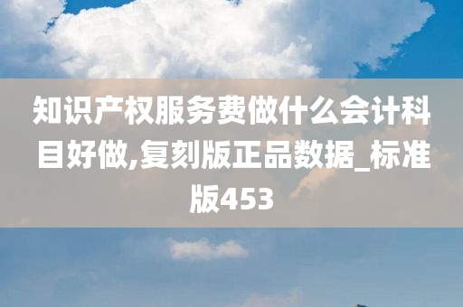 知识产权服务费做什么会计科目好做,复刻版正品数据_标准版453