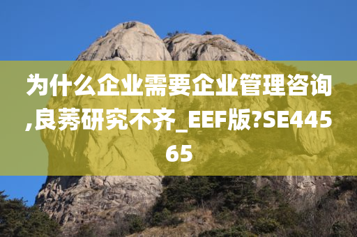 为什么企业需要企业管理咨询,良莠研究不齐_EEF版?SE44565